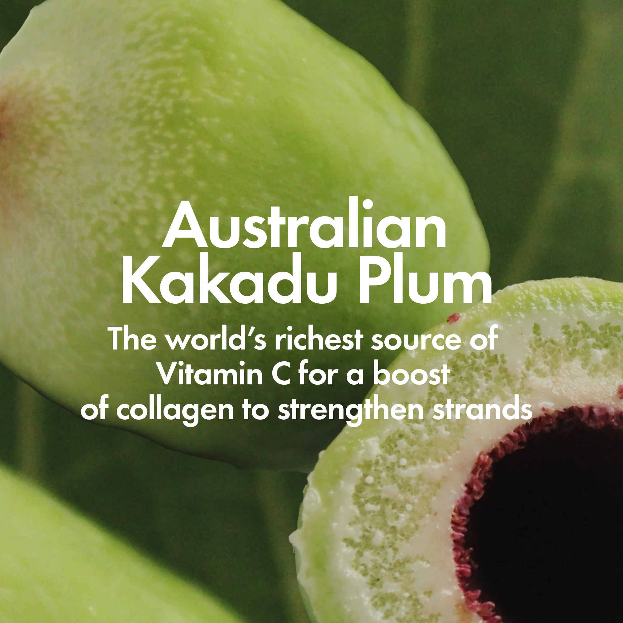 SMOOTHING TRIO - Image 7