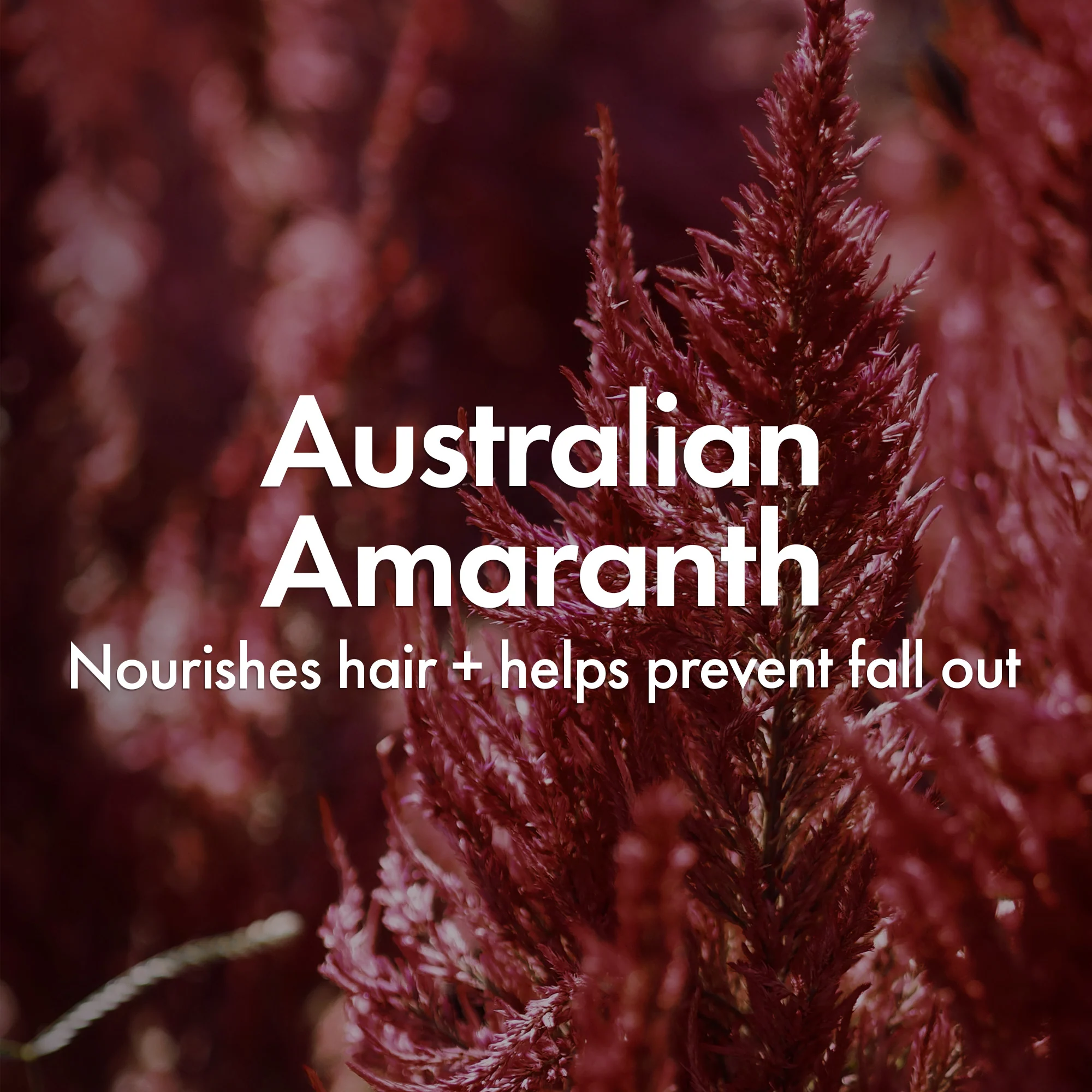 VOLUMISING SHAMPOO - Image 4