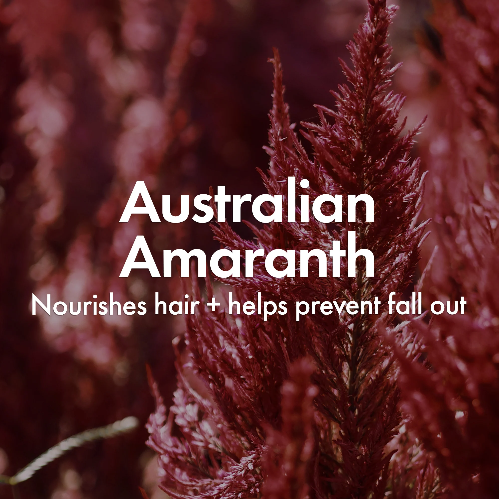 VOLUME & THICKENING SQUAD - Image 8